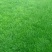 绿化草坪