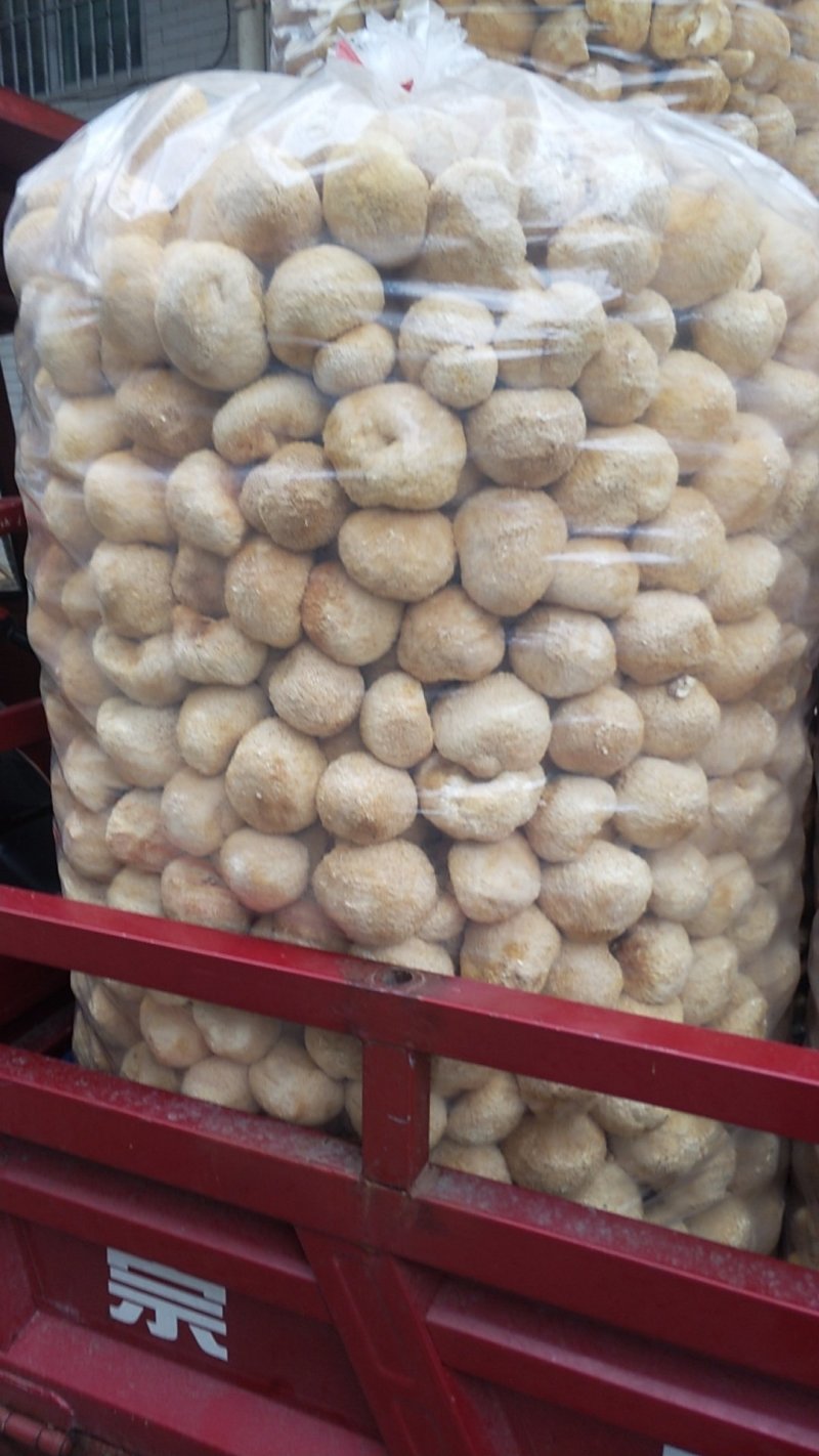 古田精品猴头菇，货真价实，品种齐全