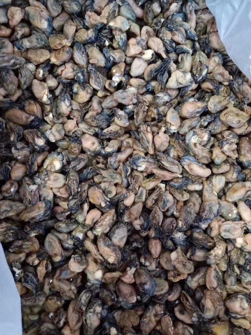 生蚝肉干，营养价值极高，炖豆腐，做汤炒着吃都特别鲜美