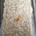 去皮鱿鱼条真鱿残条鱿鱼边角料打浆调味佳品