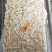 去皮鱿鱼条真鱿残条鱿鱼边角料打浆调味佳品