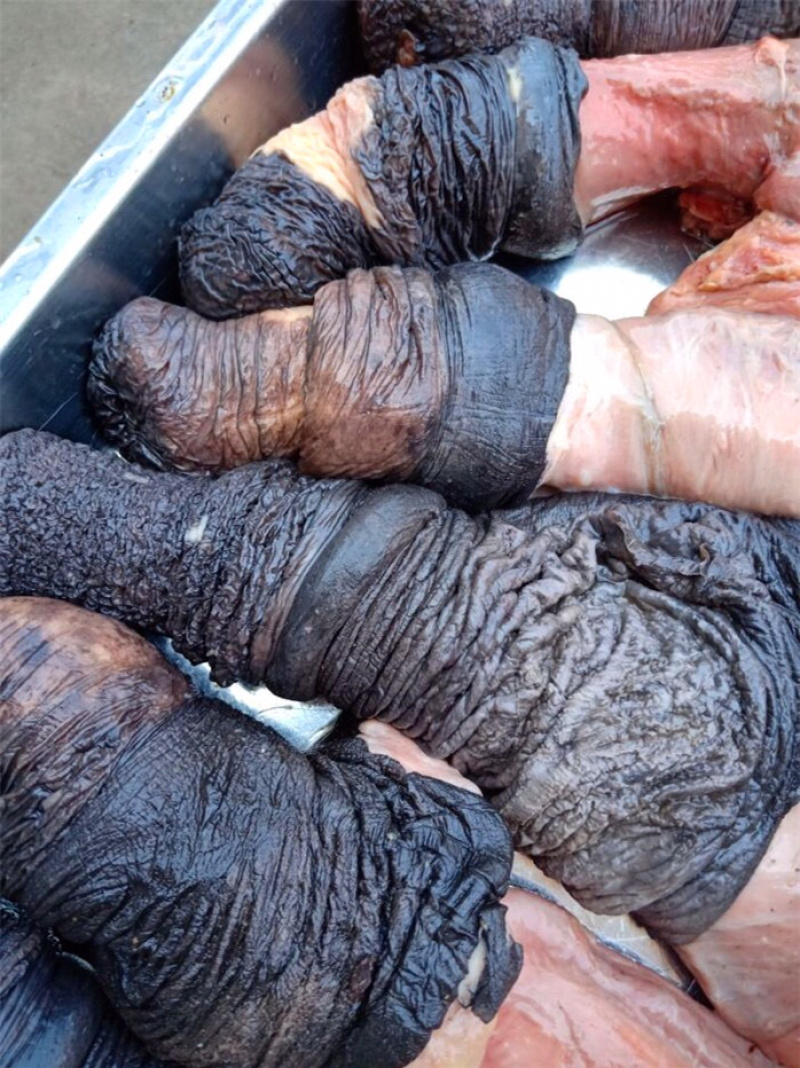 正宗新鲜驴鞭生纯驴鞭驴三宝驴宝农家生驴鞭真空河北特产驴肉