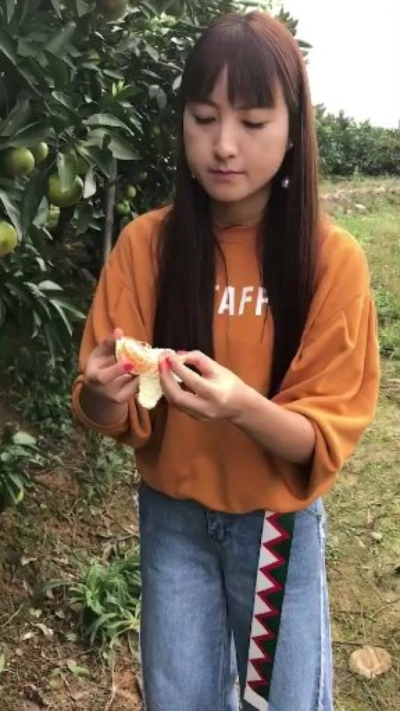 蜜橘椪柑脐橙鲜果之乡欢迎您参观考察咨询订购
