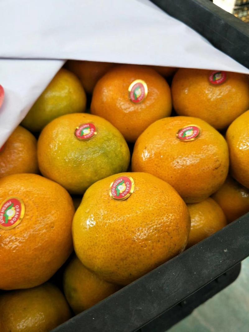 湖北大石门蜜橘大量上市产地一手货欢迎订购