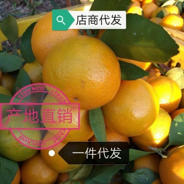 一件代发，麻阳冰糖橙湖南怀化橙子电商供应链量大优惠，
