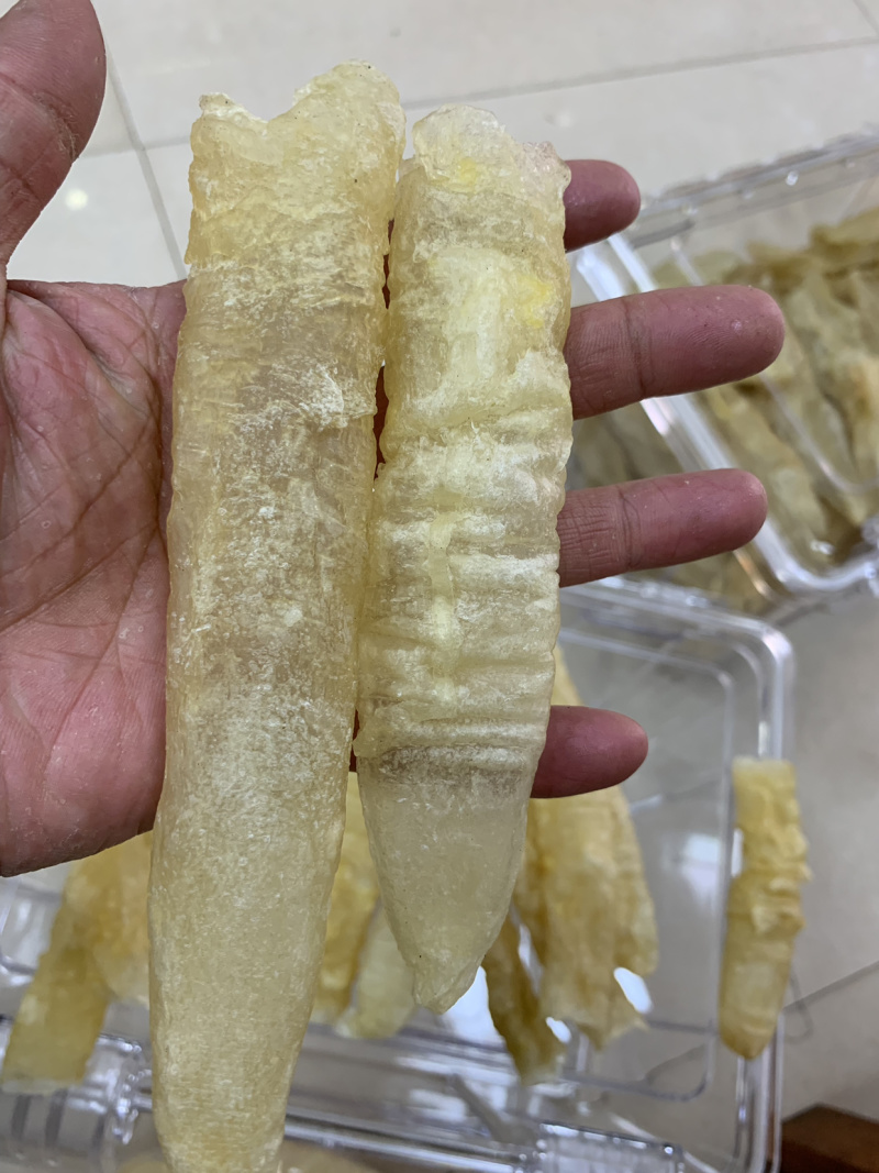 巴沙鱼胶