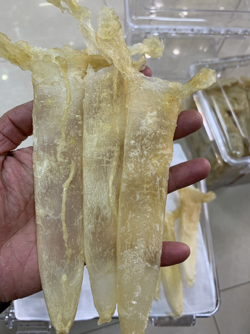 巴沙鱼胶