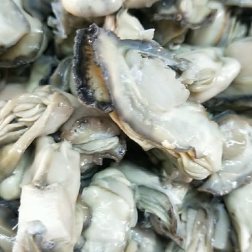 生蚝肉熟的，