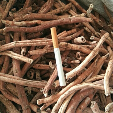 陕西产，牡丹皮个子，粉丹，黑丹