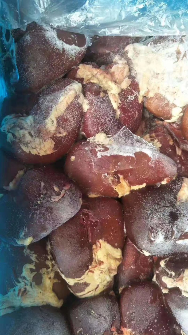 驴腰，腰子，现杀鲜驴腰，养殖基地一手货源