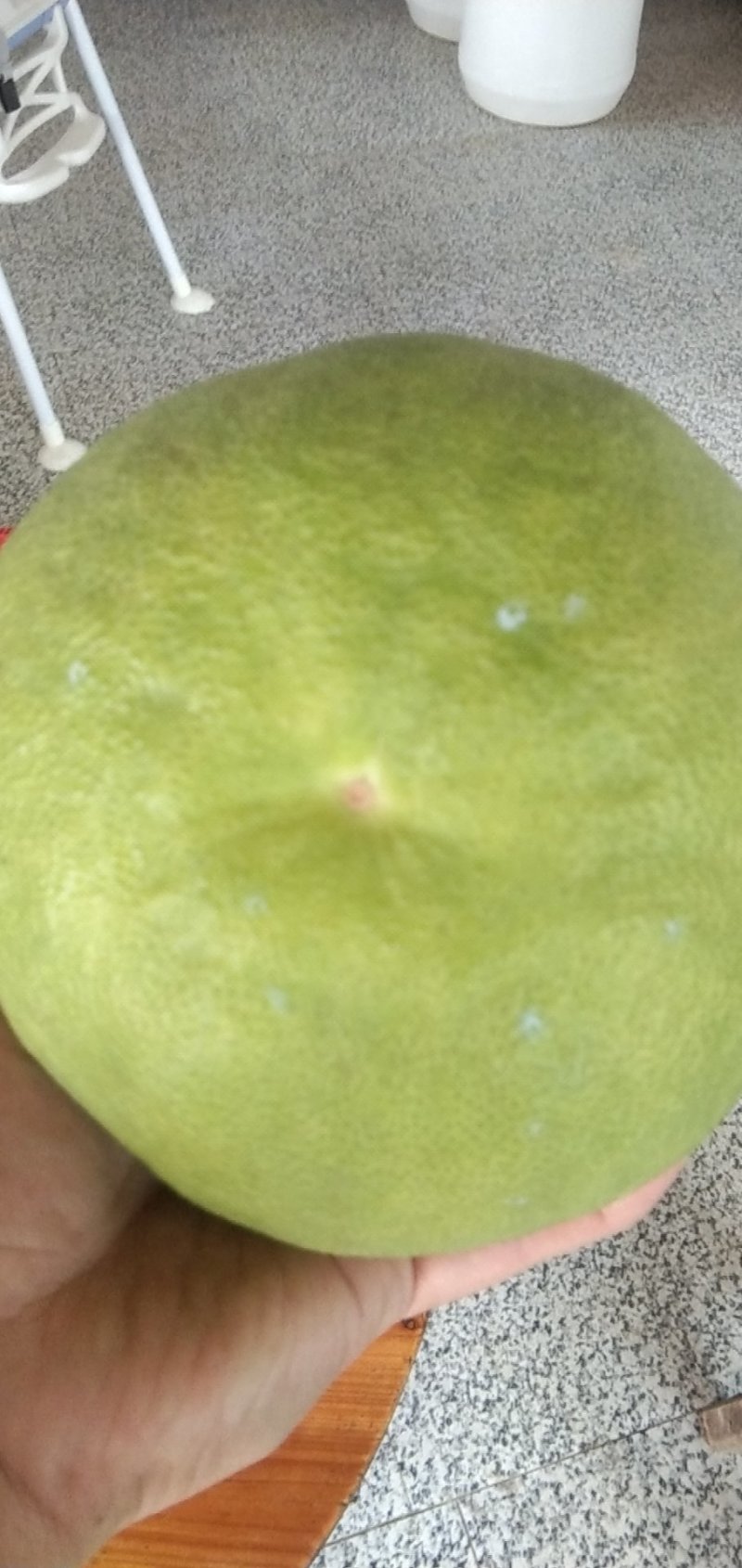 正宗阳朔兴坪老树柚