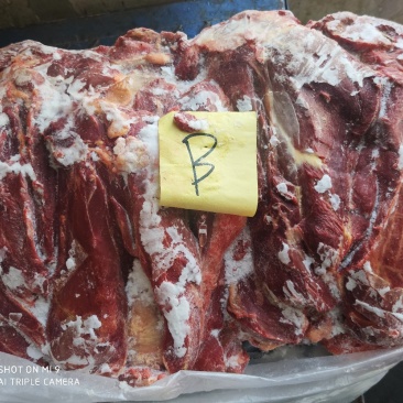 马前腿定装蒙古国正关吊宰马肉前腿
