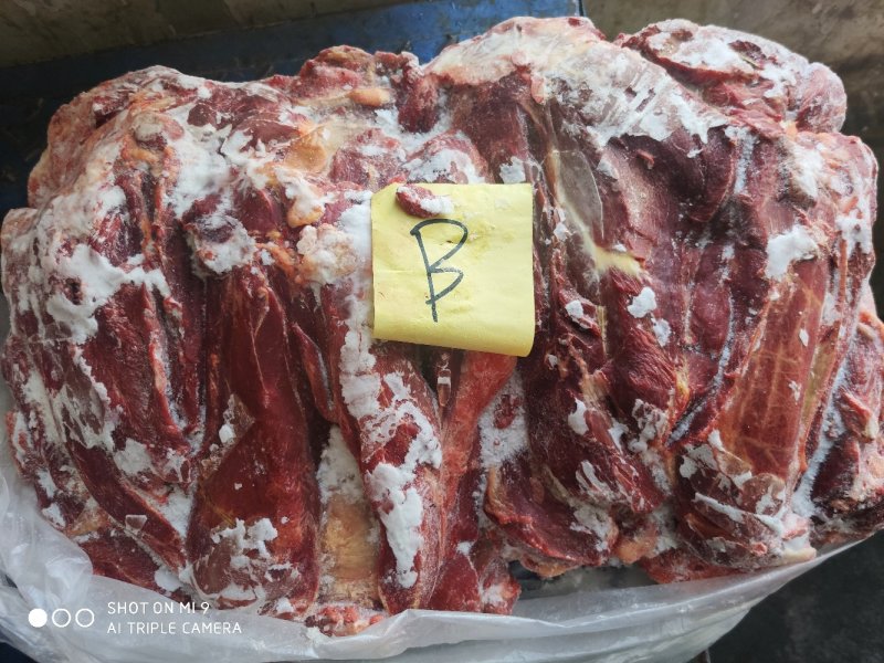 马前腿定装蒙古国正关吊宰马肉前腿