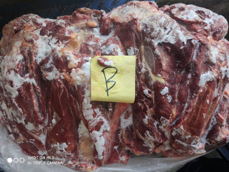 马前腿定装蒙古国正关吊宰马肉前腿