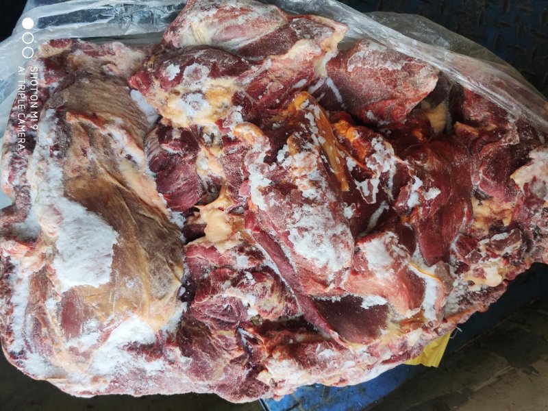 马后腿正关蒙古国定装马肉五分体后腿肉剔骨马肉