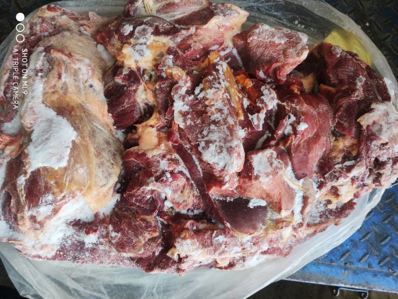 马后腿正关蒙古国定装马肉五分体后腿肉剔骨马肉