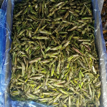 稻蝗，一手质源，质优价廉。