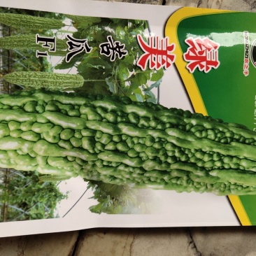 绿美苦瓜早熟杂交品种。亩产3000公斤，