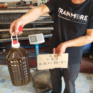 野生小茶籽油