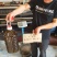 野生小茶籽油