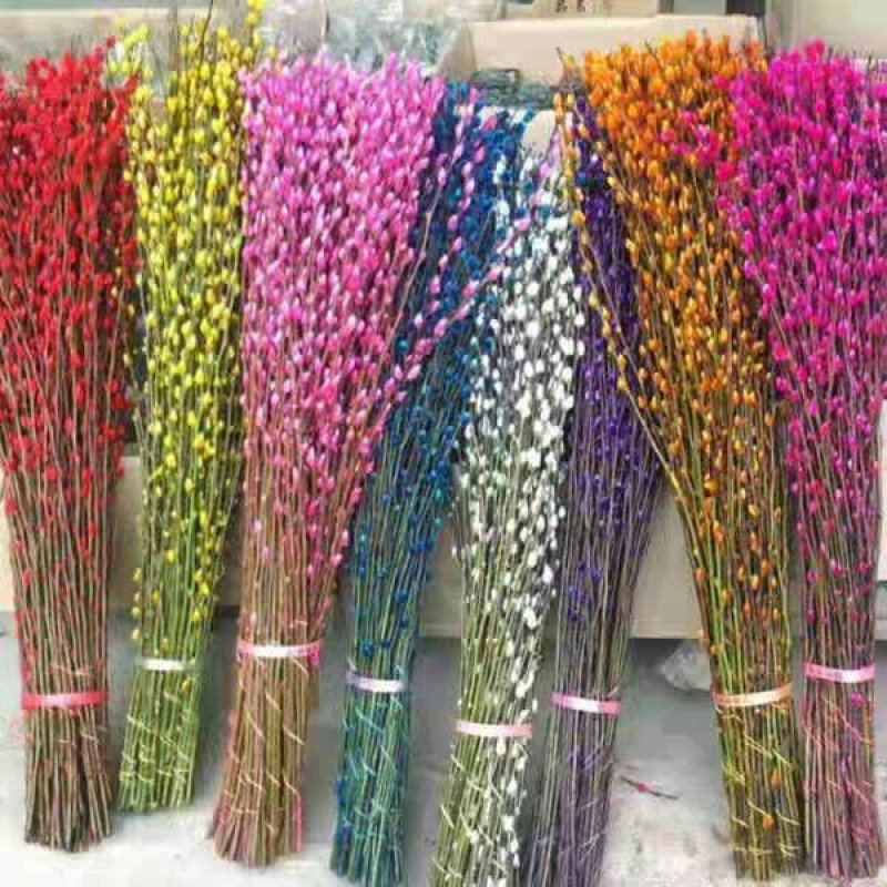 银柳，非常漂亮哦。80厘米高5色可选玫红粉蓝紫绿色