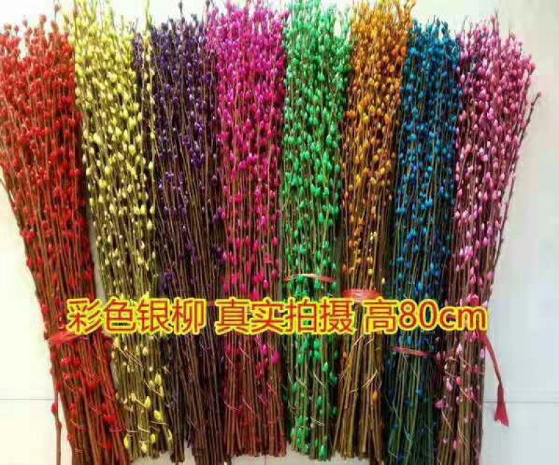 银柳，非常漂亮哦。80厘米高5色可选玫红粉蓝紫绿色