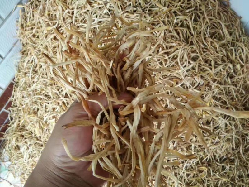 甘肃庆阳无硫优质黄花菜，自家晾晒，天然无污染10斤包邮