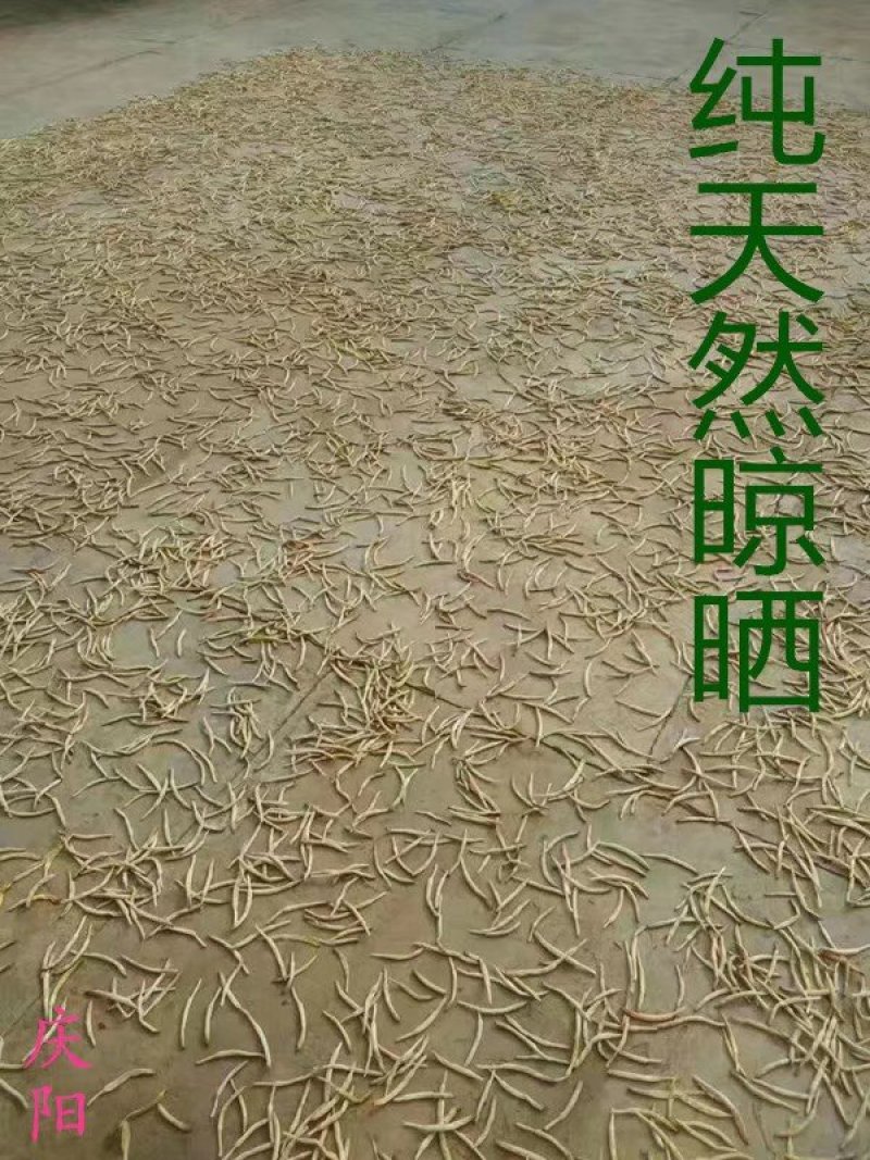 甘肃庆阳无硫优质黄花菜，自家晾晒，天然无污染10斤包邮