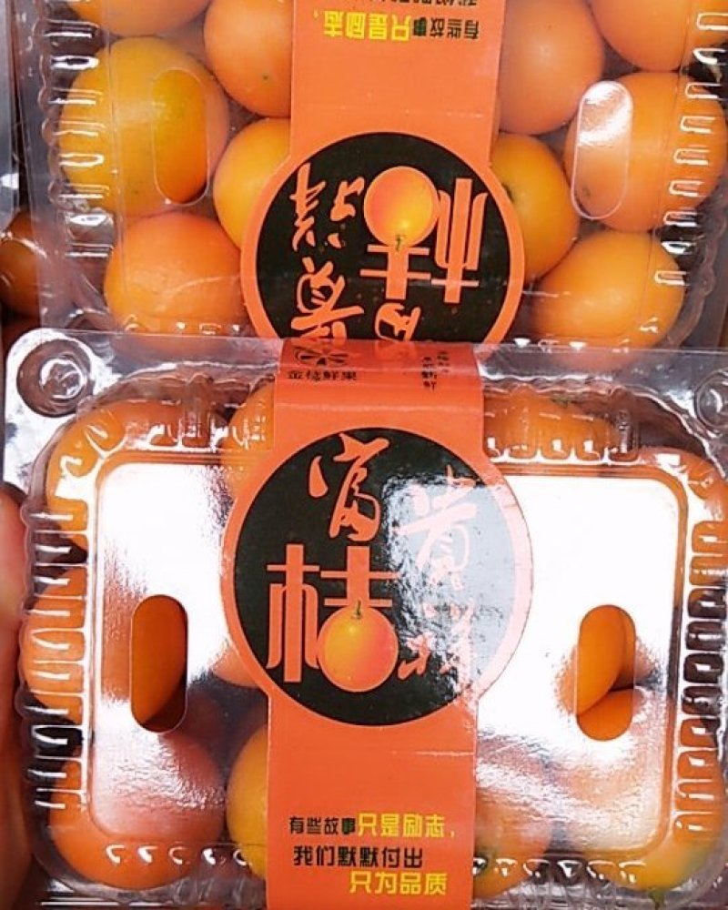 柑橘，广西桂林阳朔金桔