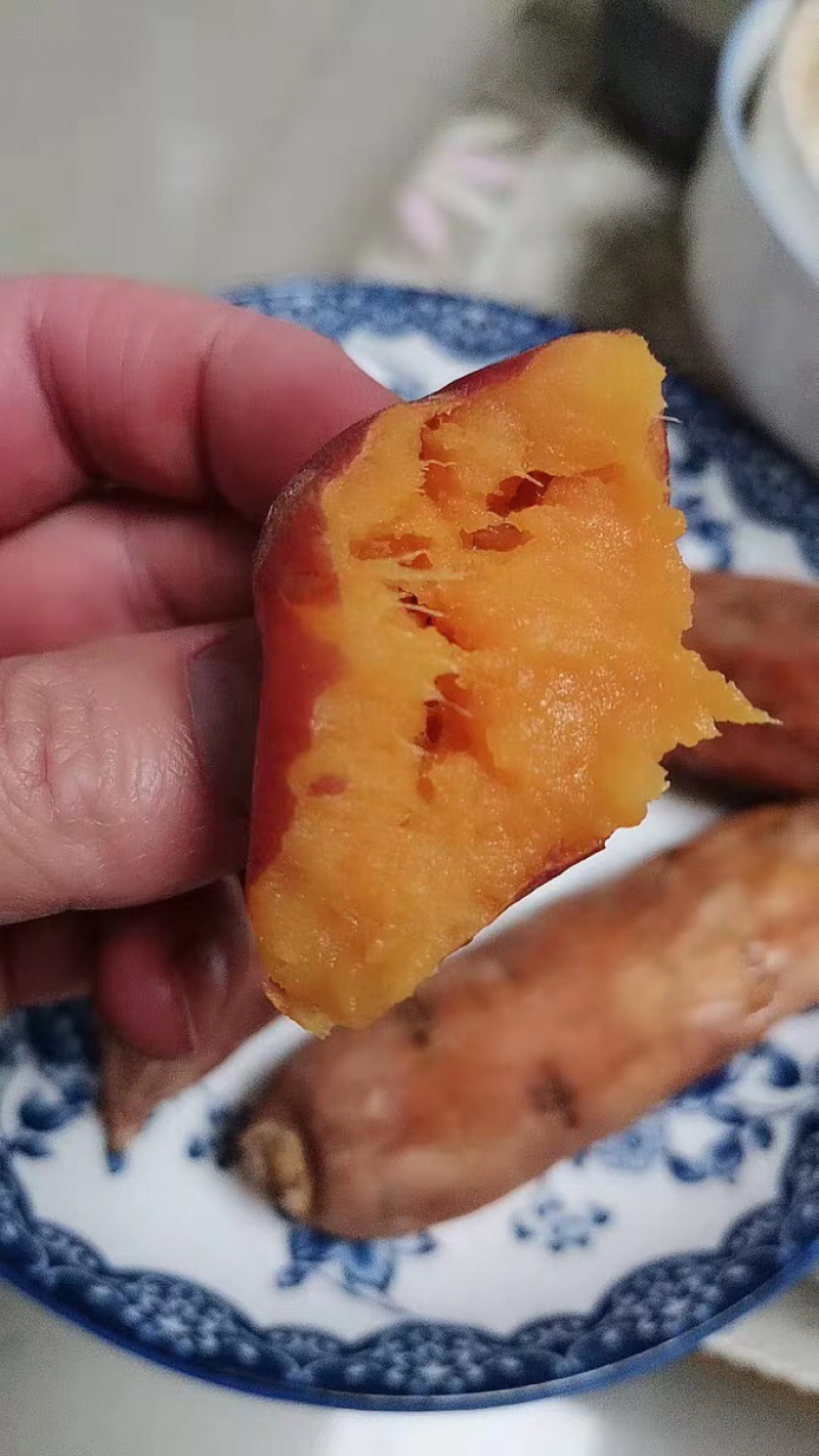 烟薯25号红薯板栗薯
