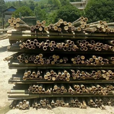 毛竹尾，竹竿