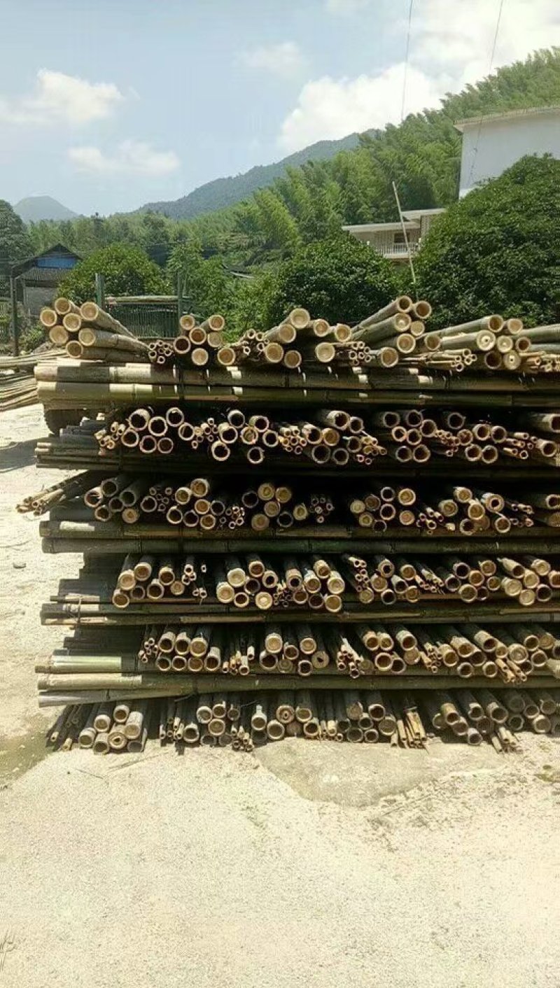 毛竹尾，竹竿