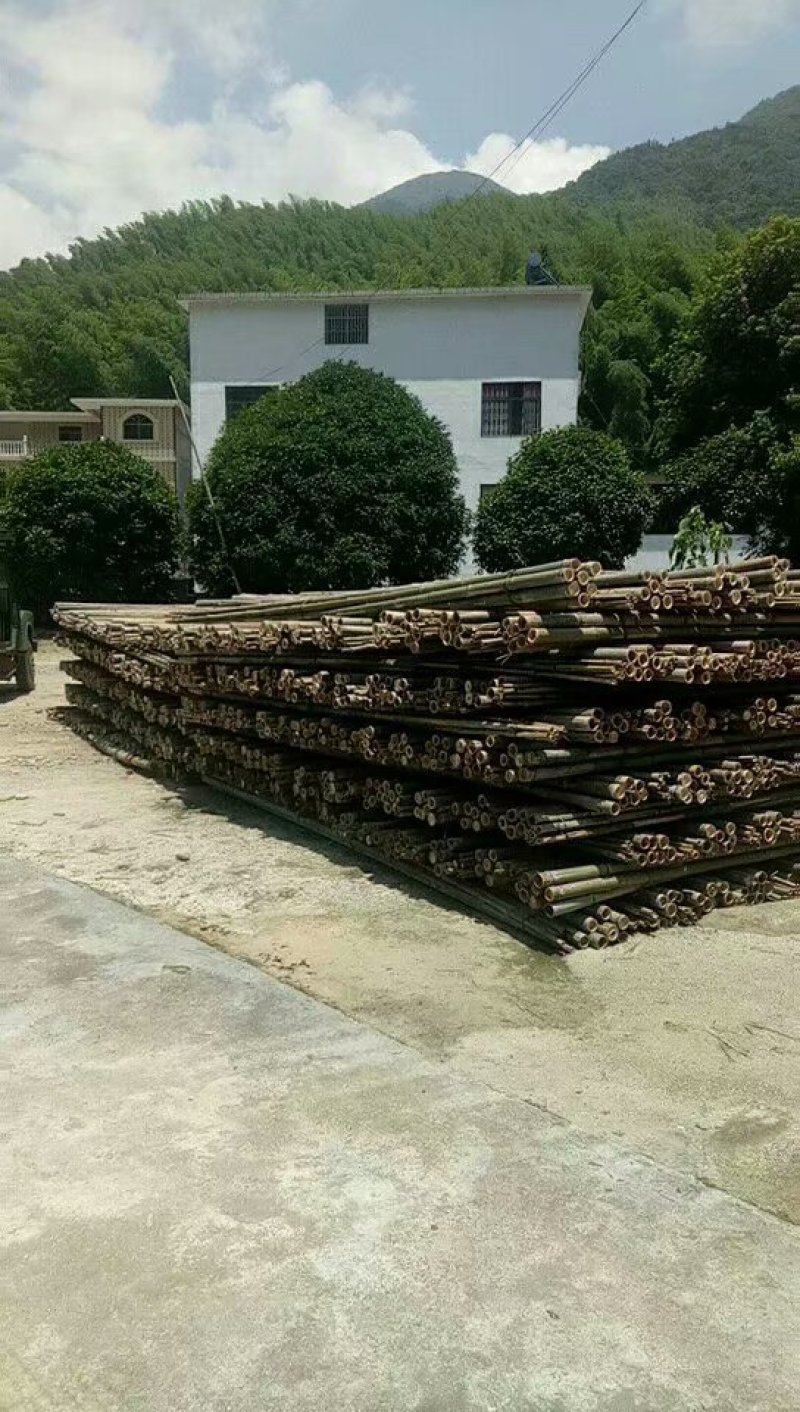 毛竹尾，竹竿