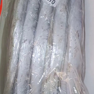网红刀鱼