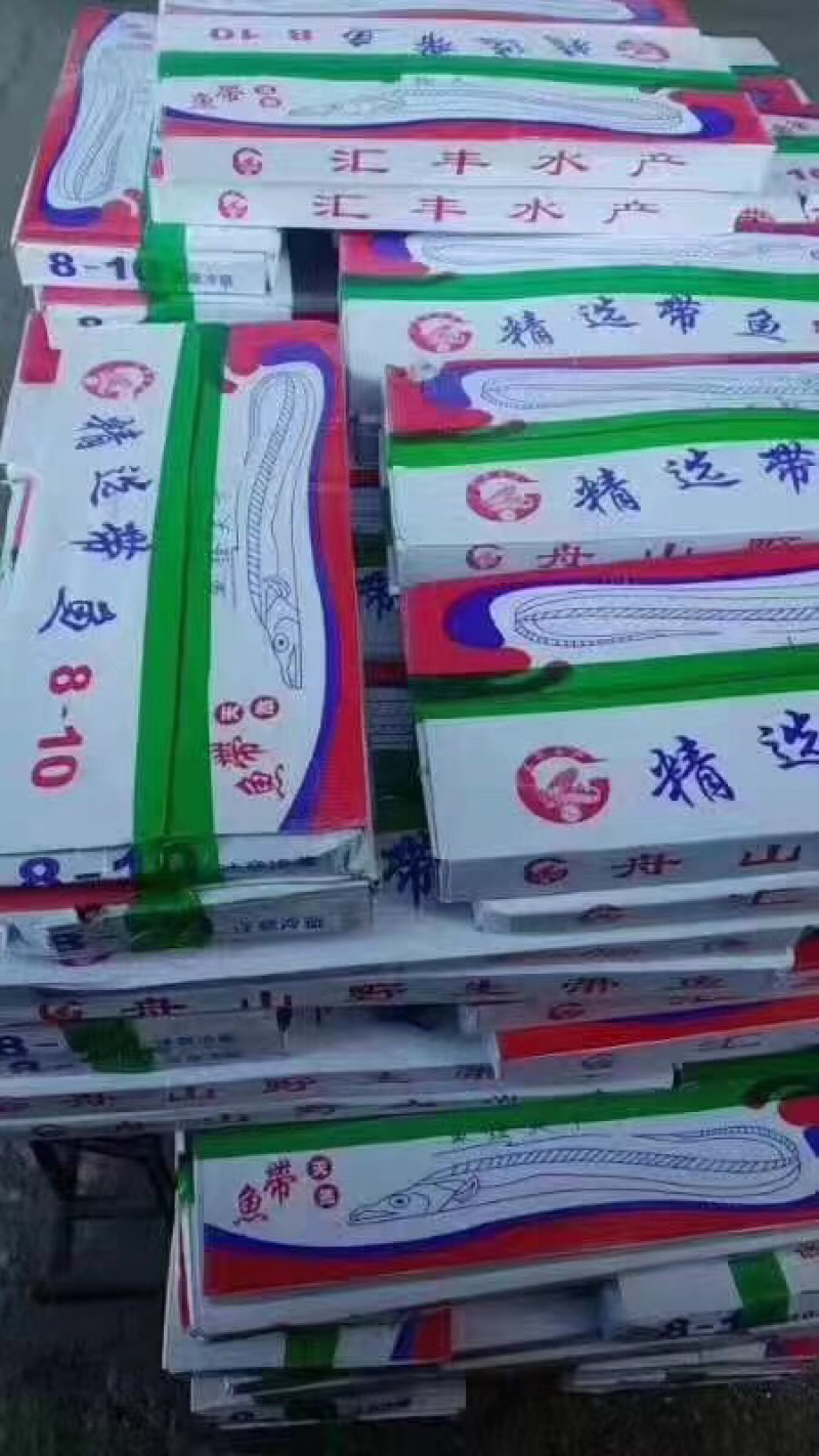 网红刀鱼