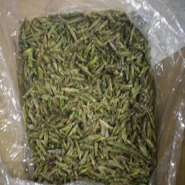蹈蝗