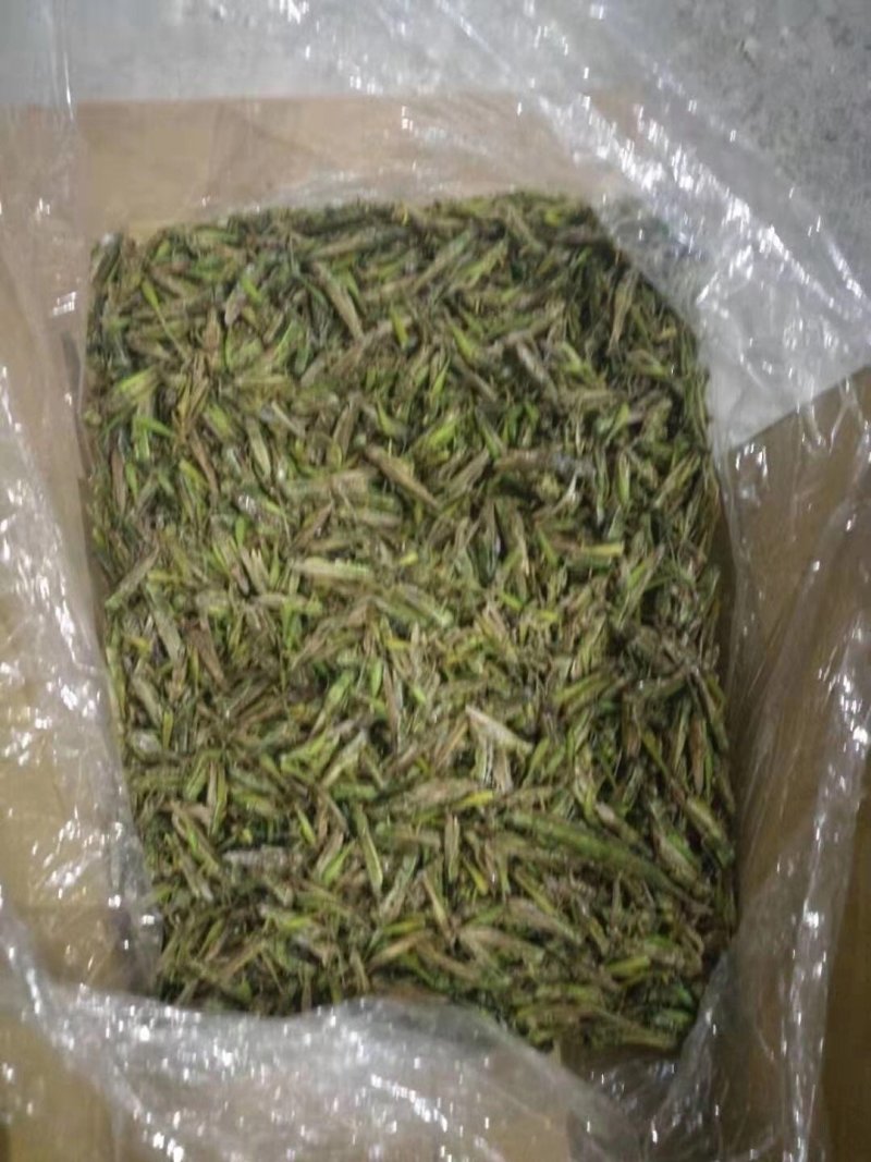 蹈蝗