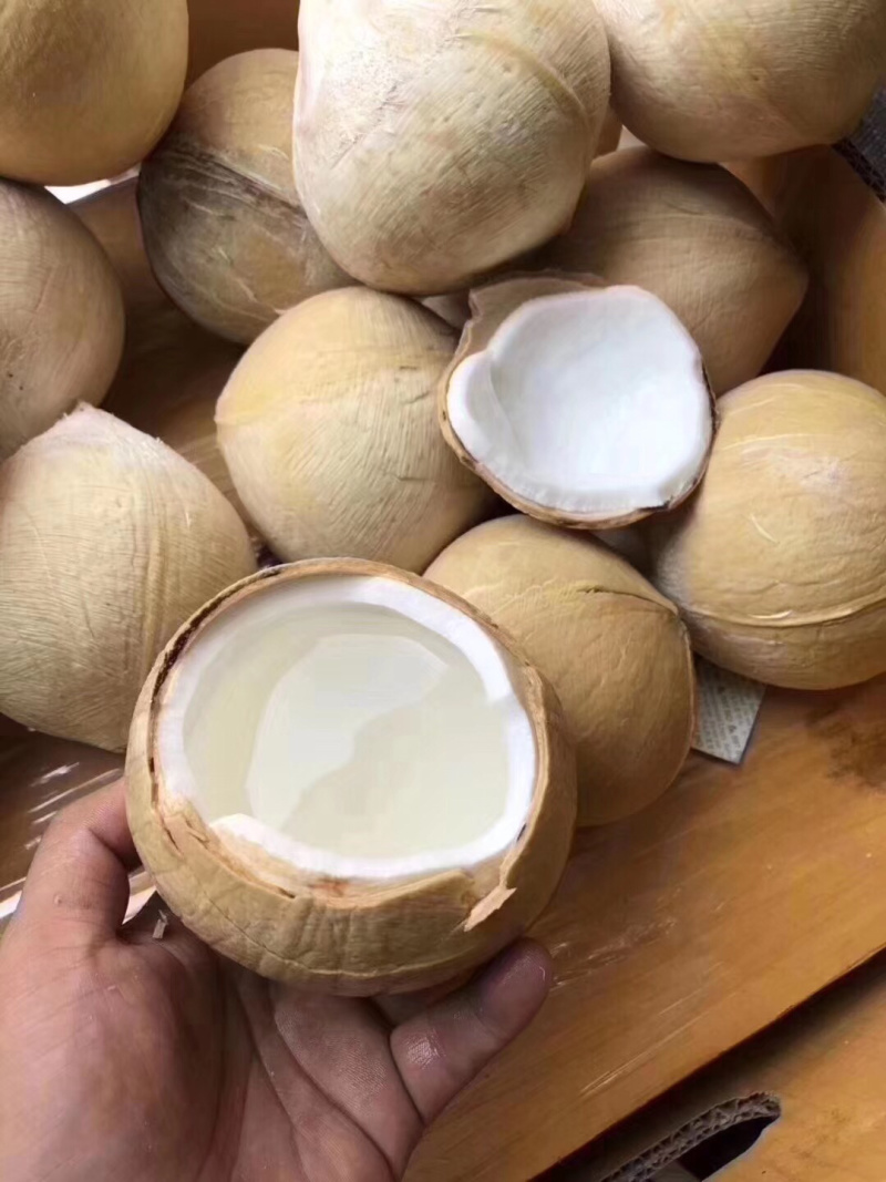 泰国椰皇，个头大，汁水足，清澈香甜，奶香味浓，价格实惠