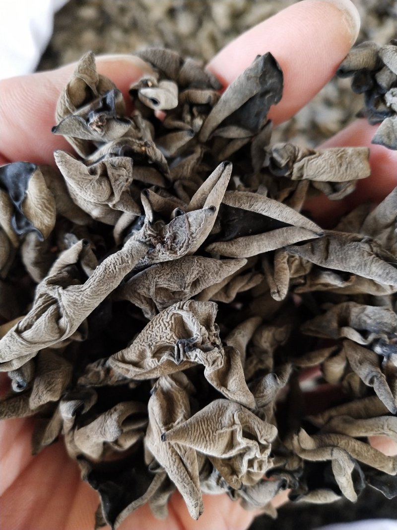 土特产批发精品云耳农户自销，云耳，云耳，云耳，云耳，云耳