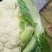 白菜花紧花乳白1～2斤品质佳，还有速冻厂菜花