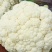 白菜花紧花乳白1～2斤品质佳，还有速冻厂菜花