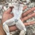 牛蛙冻品，前腿，后腿，整只都有，大中小规格，欢迎前来咨询