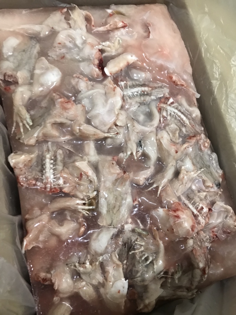 牛蛙冻品，前腿，后腿，整只都有，大中小规格，欢迎前来咨询