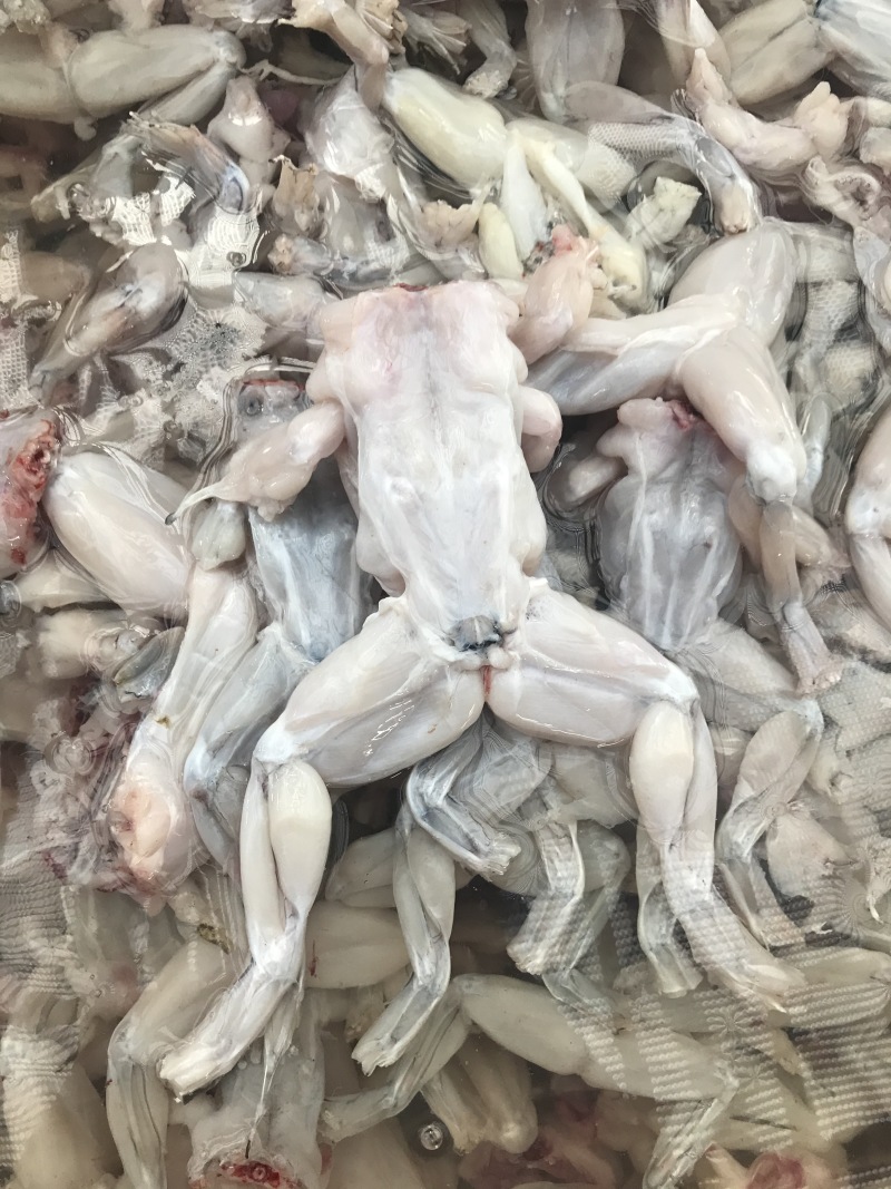 牛蛙冻品，前腿，后腿，整只都有，大中小规格，欢迎前来咨询