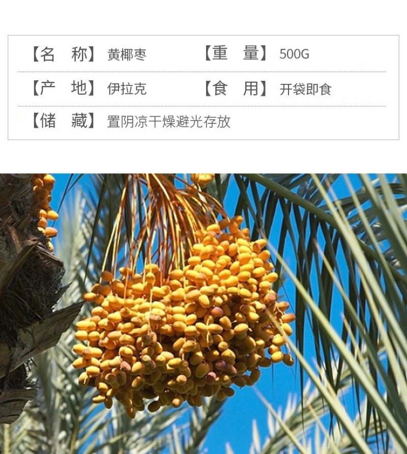 伊拉克黄金椰枣香甜软糯天然干椰枣500g/袋量大从优