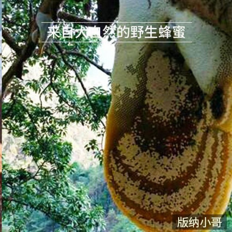 岩蜜云南土蜂蜜黑峰蜜百花野生悬崖纯正崖蜜500g