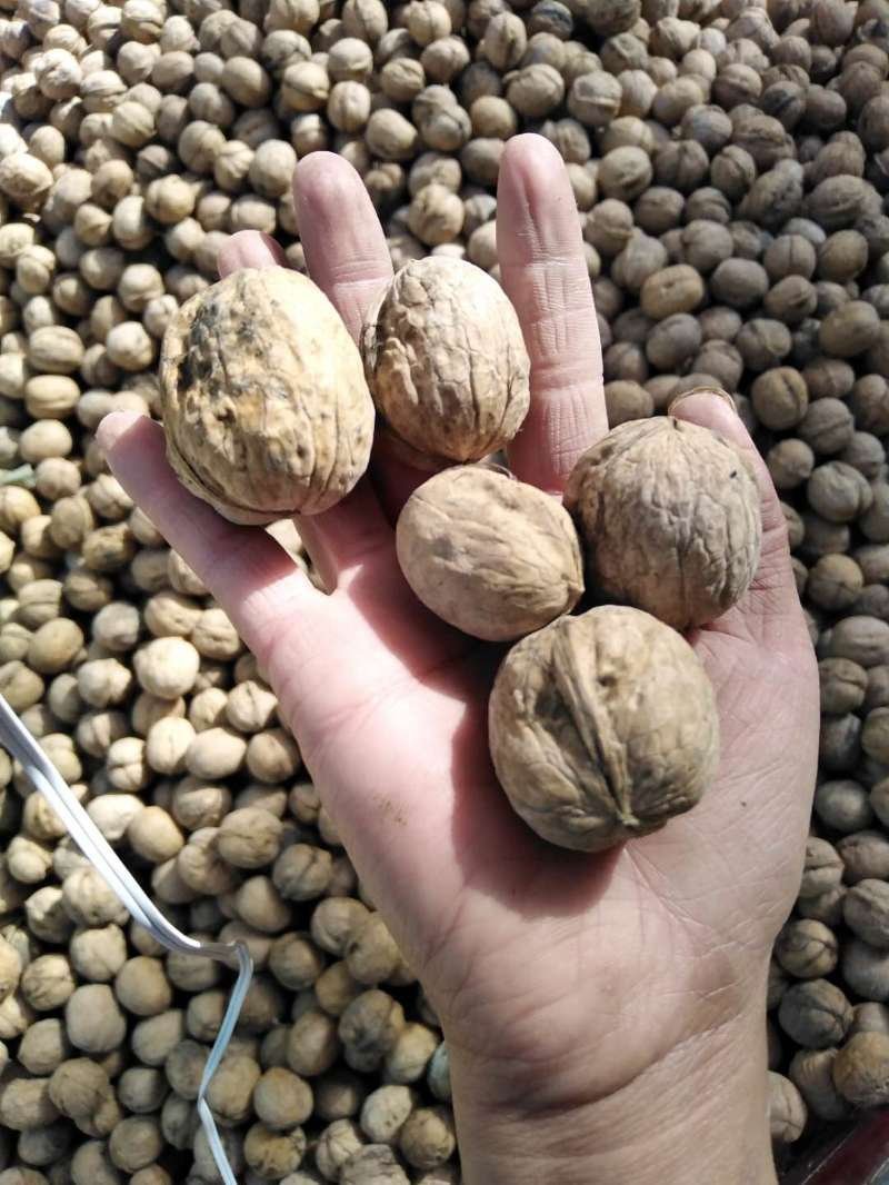 2020年新疆应季薄皮核桃批发孕妇坚果零食
