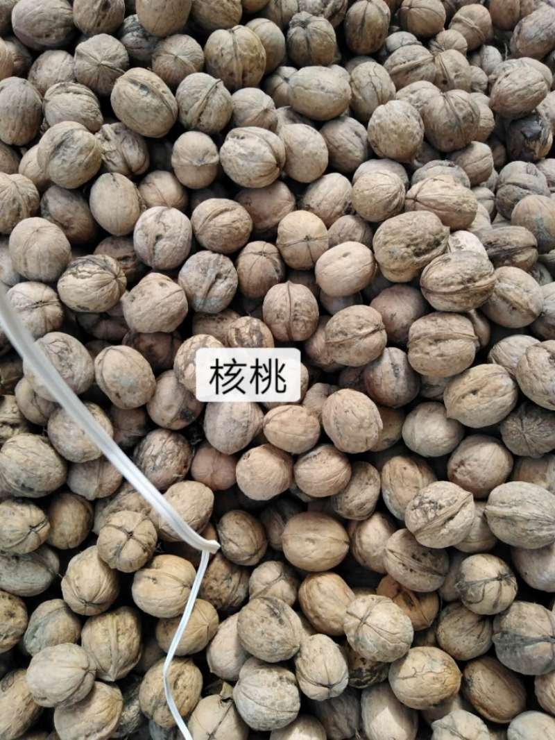 2020年新疆应季薄皮核桃批发孕妇坚果零食