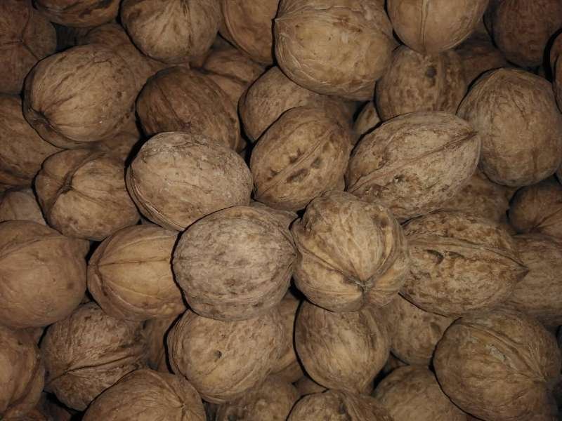 2020年新疆应季薄皮核桃批发孕妇坚果零食