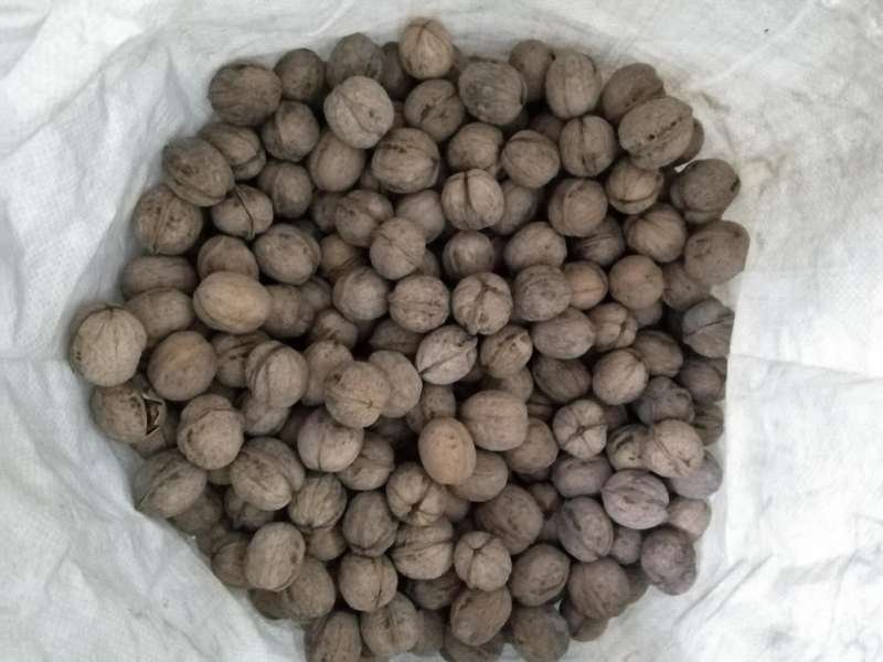 2020年新疆应季薄皮核桃批发孕妇坚果零食